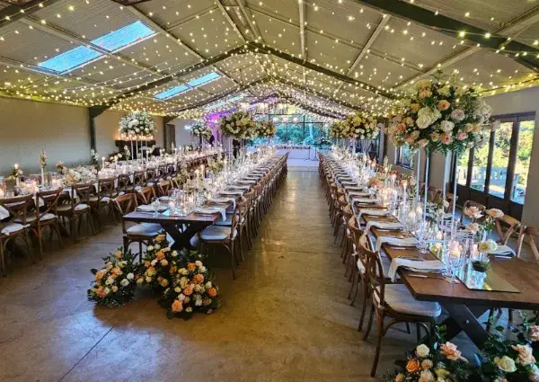 Wedding Reception